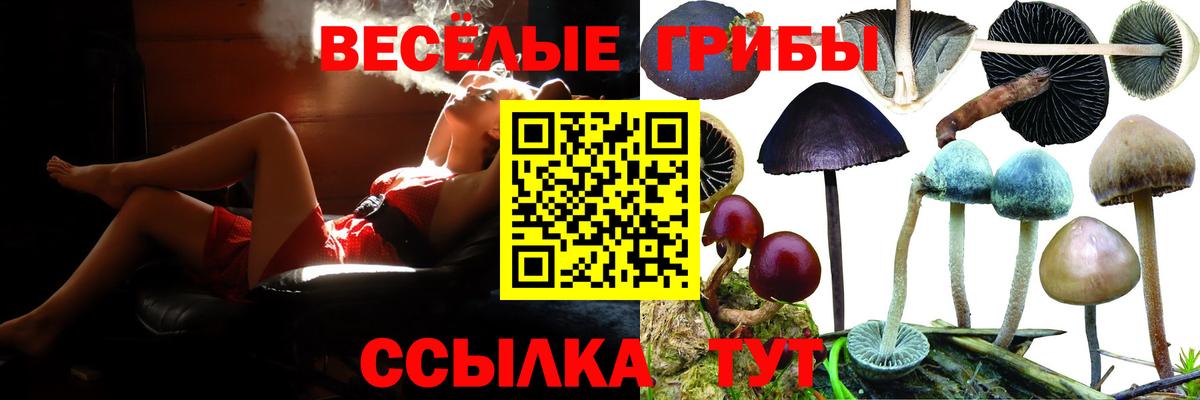 Галлюциногенные грибы Cubensis  Галлюциногенные грибы мухоморы  Артёмовский  Вход с VPN 